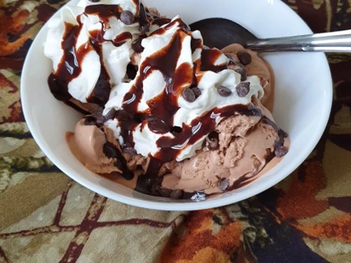 Easy Steps to Prepare Homemade Ice cream without additives or preservatives the So Delicious Can spoil the tongue