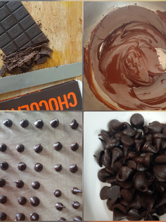 A picture of Chocochips.