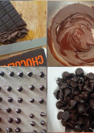 A picture of Chocochips.