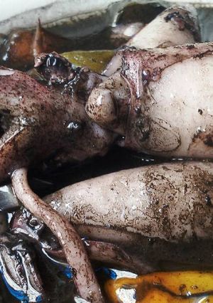Foto resep Cumi Kuah Hitam