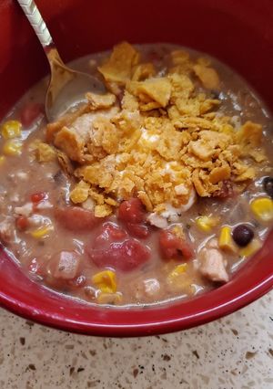 A picture of Lauren's Chicken Tortilla Soup.