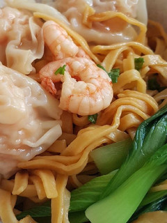 A picture of Carrot Noodle With Shrimp Dumplings.
