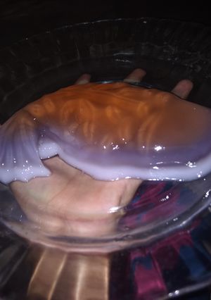 Foto resep Lapis Koi