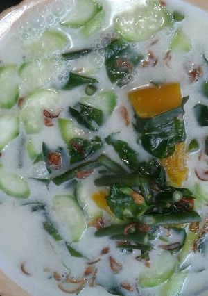 Foto resep Sayur santan katuk