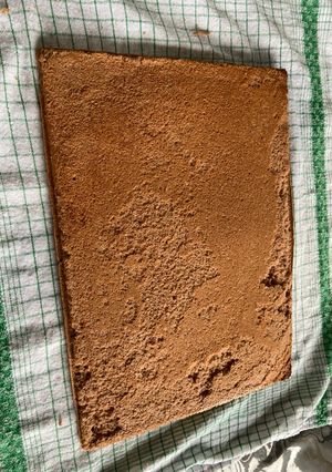 Une photo de Génoise au chocolat