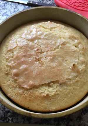Una foto de Torta de aceite