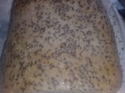 Una foto de receta pan lactal esponjoso