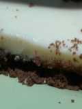 Cheesecake sin horno