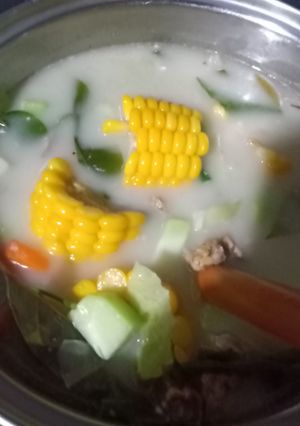 Foto resep Sayur lodeh bumbu instan