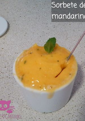 Foto principal de Sorbete de Mandarina sin Azúcar de Paufeel