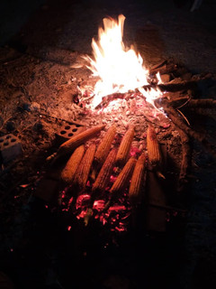عکسی از دستور ذرت بلال 🌽