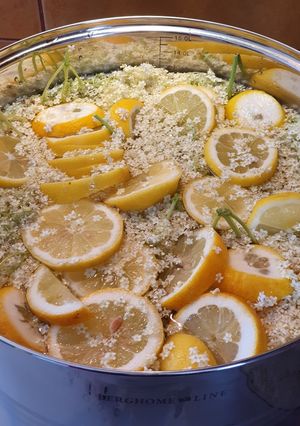 Bodzaszörp recept fotója