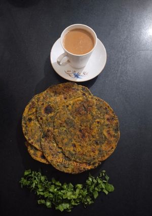 पालक पराठा (Palak Paratha Recipe In Hindi) रेसिपी मुख्य फोटो