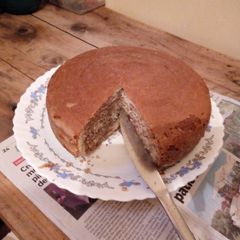 A picture of Zebra cake.