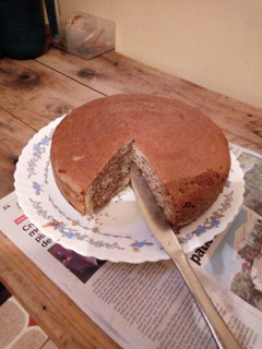 A picture of Zebra cake.