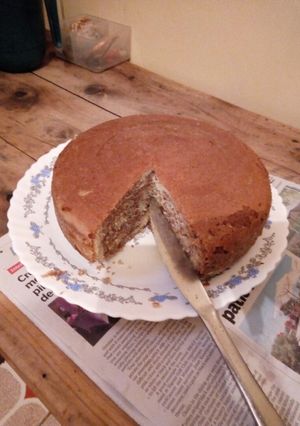 A picture of Zebra cake.