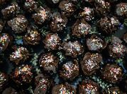 Gambar cornflakes dengan cokelat leleh