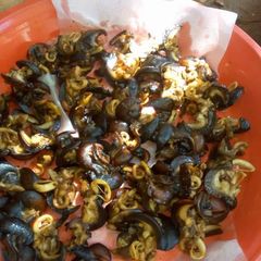 A picture of Fried snail.