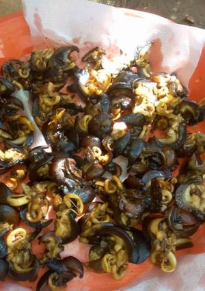 A picture of Fried snail.