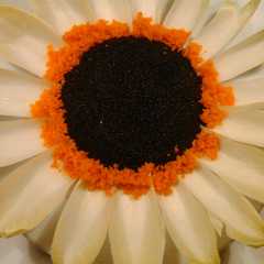 Una foto de Flor de queso