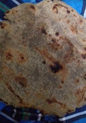 A picture of Bajre ki Roti.