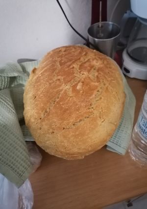 Φωτογραφία της συνταγής Ψωμί γάστρας