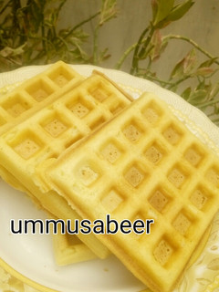 A picture of Waffles.