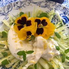 A picture of Burrata and lemon fennel salad.