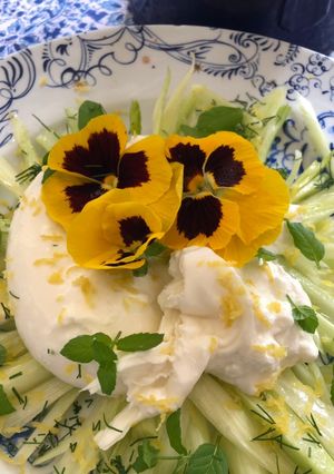 A picture of Burrata and lemon fennel salad.