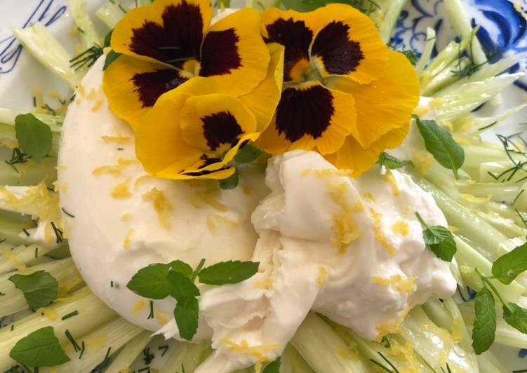 Simple Way to Prepare Homemade Burrata and lemon fennel salad