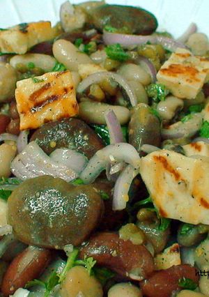 A picture of Halloumi cheese & mixed beans salad.