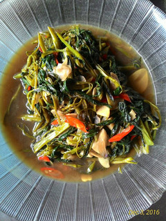 Foto resep Tumis Kangkung Teriyaki