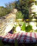 Huevos de Codorniz al Vinagre