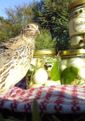 Una foto de Huevos de Codorniz al Vinagre