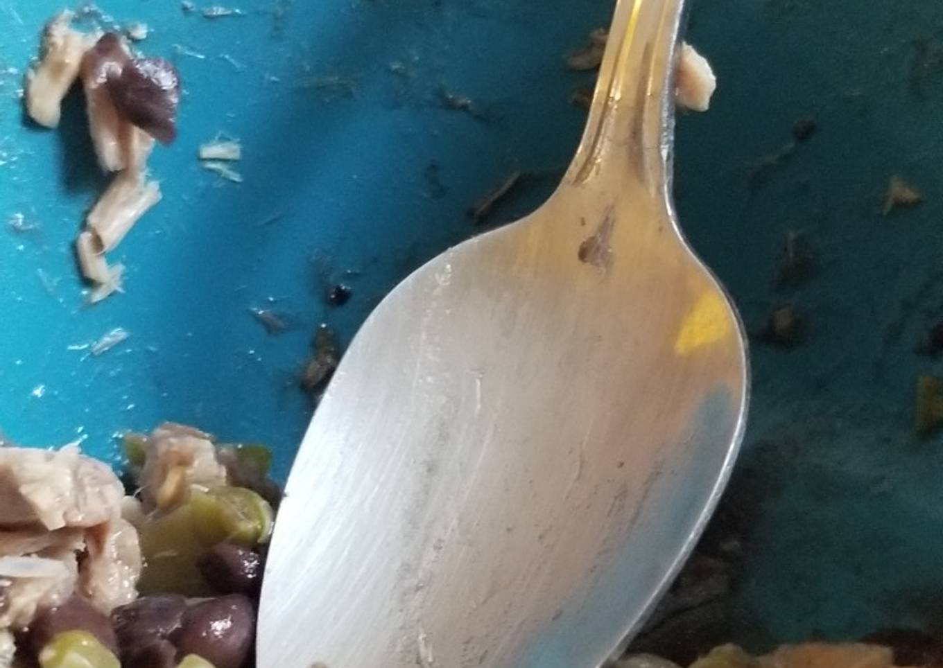 Ensalada de atún con nopales y frijoles ngros