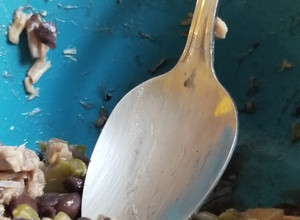 Una foto de Ensalada de atún con nopales y frijoles ngros