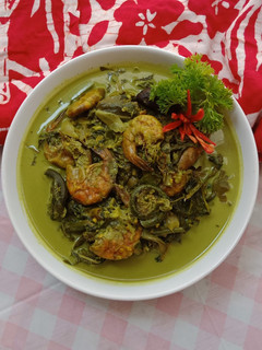 Foto resep Gulai paku/pakis