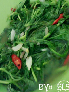 Foto resep Tumis bayam terasi