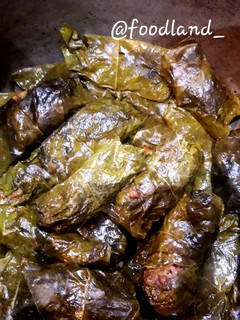 عکسی از دستور دلمه برگ مو