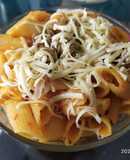 Pasta corta con pollo en salsa de tomates fritos