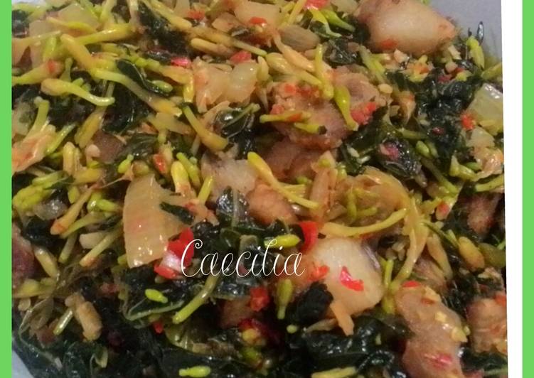 Resep Bunga, Daun Pepaya Rica B2, Enak Banget