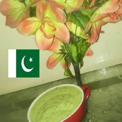 A picture of Spinach Mango Smoothe.