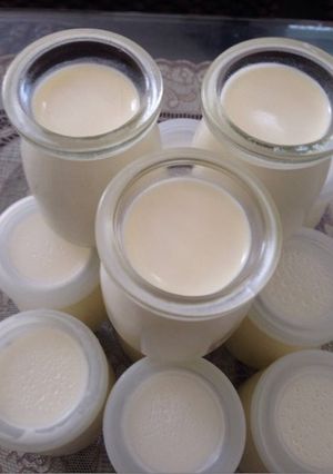 Hình của món Sữa chua truyền thống.