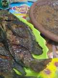 Nila Bakar Kecapi