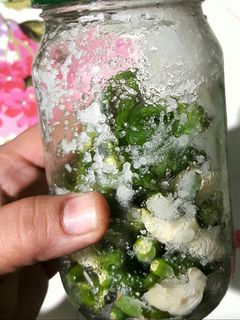 हरी मिर्च का अचार (Hari mirch ka achar recipe in Hindi) रेसिपी मुख्य फोटो