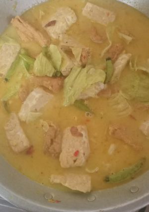 Foto resep Sayur lodeh tempe tahu