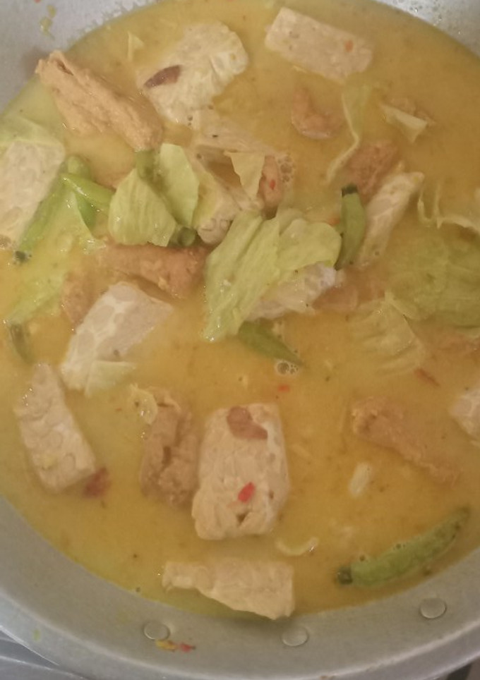 Foto resep Sayur lodeh tempe tahu