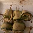 Rollos de calabacín y pavo