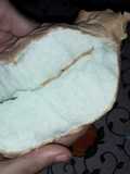 Pan Nube