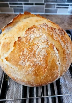 A picture of No Knead Dutch Oven Bread.
